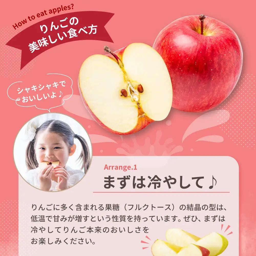 【2026年11月後半発送】 【訳あり】 りんご 約10kg サンふじ確約 青森産 品種おまかせ2種以上