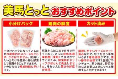  鶏肉 【3か月定期】 ももむね 計5.4kg