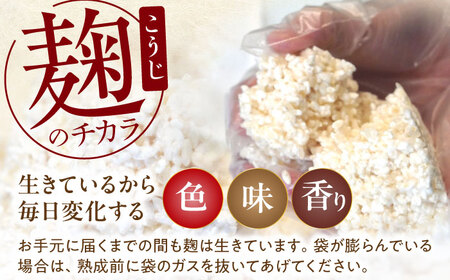 育てる味噌 10kg《豊前市》　【浦野醤油醸造元】みそ 米味噌[VAV020]