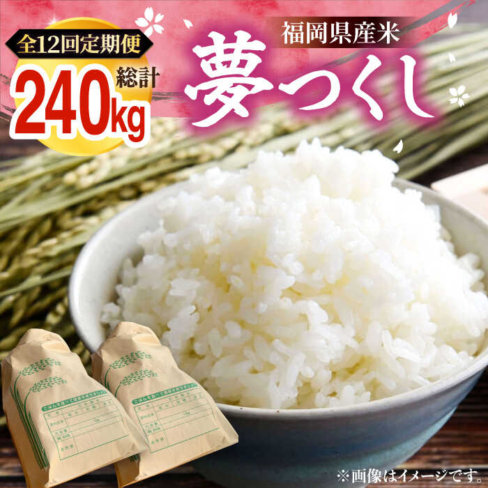 【ふるさと納税】【全12回定期便】【R8年産】 新米 福岡県産 夢つくし 20kg ( 10kg ×2袋)《豊前市》【湯越農園】[VBC016] 令和8年 先行予約 米 お米 精米 白米 ブランド米 国産 ごはん ご飯 コスパ おすすめ ゆめつくし 10キロ 20キロ 定期便 12回