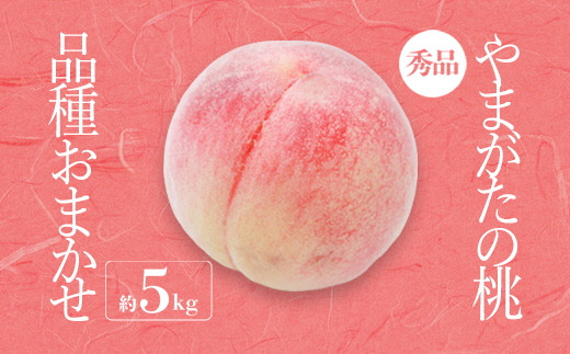 
                  【2026年発送】「秀品」山形県産 桃（品種おまかせ）約5kg_H206(R8)
                