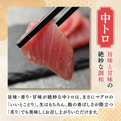ふるさと納税 深浦町 青森県深浦町産 天然本マグロ 中トロ 400g 200g×2  冷凍柵 |  | 01