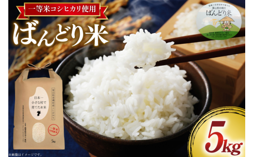 【期間限定発送】 米 令和7年 ばんどり米 コシヒカリ 精米 5kg [農事組合法人東和 富山県 舟橋村 57050201] お米 白米 美味しい こしひかり 富山 農家