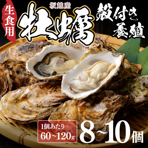 【国産】殻付き牡蠣旅する牡蠣プレミアムオイスター室戸海洋深層水 坂越8～10個入り