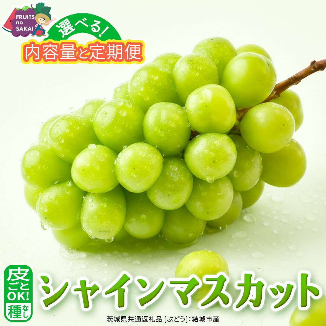 【ふるさと納税】＼選べる内容量・発送方法／ シャインマスカット 約1.3kg ～ 5kg （約2房～12房）単品（1回）・定期便（3回・6回）【定期2026年8月、単品9月より発送開始】（茨城県共通返礼品 [ぶどう]：結城市産） 葡萄 お取り寄せ フルーツ 種なし 皮ごと 甘い デザート