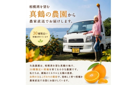 温州みかん5kgと農家の自家製マーマレード★甘味と酸味の良バランスと濃厚な香りが特徴です＜先行受付＞【1762630】