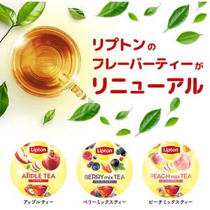 リプトン　アップル　ティーバッグ　15袋　飲料 紅茶 ティー りんご ティーバッグ リラックス リフレッシュ