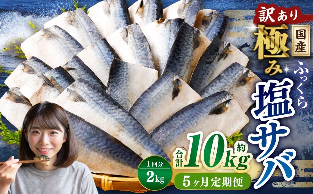 
            【5ヶ月定期便】【訳あり】国産 ふっくら 極み塩サバ 計約2kg ／ 1切れ 塩サバ 塩さば 塩鯖 さば サバ 鯖 魚
          