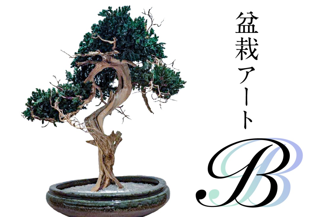 盆栽アート【B】【0120-002】	