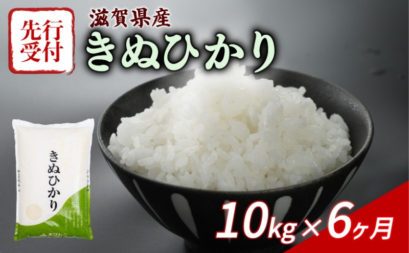 
            【令和7年産先行受付】 きぬひかり 10kg ( 5kg ×2)  6回定期便 令和7年産 定期便 新米 米 精米 こめ コメ お米 ご飯 米 キヌヒカリ 先行受付 米定期便 6か月定期便 6ヶ月定期便 6回 6ヶ月 6か月 滋賀 彦根
          