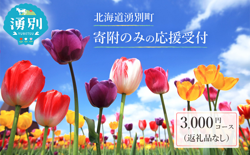 北海道湧別町 寄附のみの応援受付 3,000円コース（返礼品なし 寄附のみ 3000円）