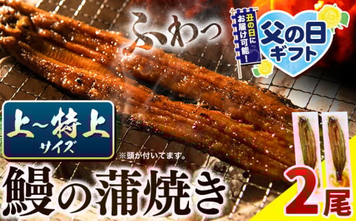 【 土用の丑の日予約受付中！ 】 うなぎ 国産 鰻の蒲焼 2尾 上～特上サイズ 《7月上旬-7月中旬頃出荷》| うなぎ 蒲焼 国産 うなぎ 小分け うなぎ 国産 うなぎ 父の日 うなぎ 母の日ギフト うなぎ 簡易包装 送料無料 徳島県 上板町