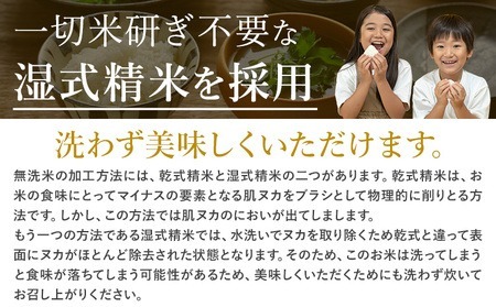 【6ヶ月定期便】阿蘇びより 無洗米 20kg (5kg×4袋)《お申込み月の翌月から出荷開始》 ｜国産米 人気米 熊本県産米 お米 生活応援米
