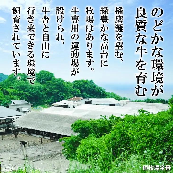 垣牧場直売「淡路姫和牛」切り落とし　800g