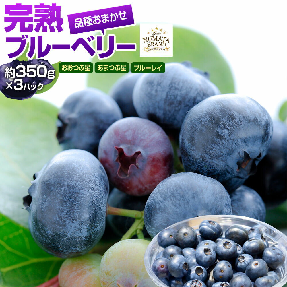 【ふるさと納税】《6月下旬〜7月下旬発送》品種おまかせ 完熟ブルーベリー 約350g×3パック 林ブルーベリー園