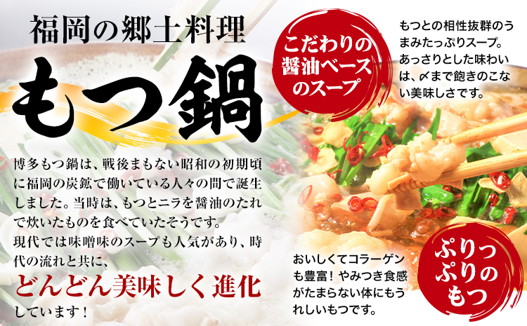 もつ鍋 博多 牛もつ鍋 セット 3~4人前 株式会社木村食品《30日以内に出荷予定(土日祝除く)》福岡県 鞍手郡 小竹町 牛 牛肉 もつ 鍋 送料無料---sc_fkmrmt_30d_r7_11500