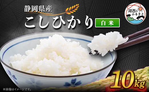 
            ＜2025年9月発送＞こしひかり 白米 10kg【1537422】
          