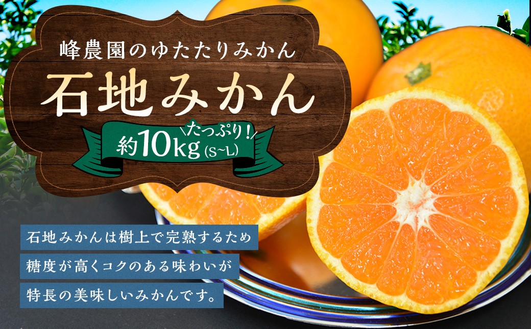 
                  峰農園のゆたたりみかん【石地みかん】10kg フルーツ 果物 くだもの 柑橘 みかん ミカン 蜜柑 たらみかん 太良みかん 温州みかん 完熟みかん 希少品種 石地みかん 甘熟 早熟 ミネラル豊富 多良岳山系の水 有明海の潮風 国産 こだわり 有機栽培 産地直送 贈答品 お中元 お歳暮 詰め合わせ 極甘 佐賀県 太良町 NB14x1 【2026年12月上旬-2027年1月下旬発送予定】
                