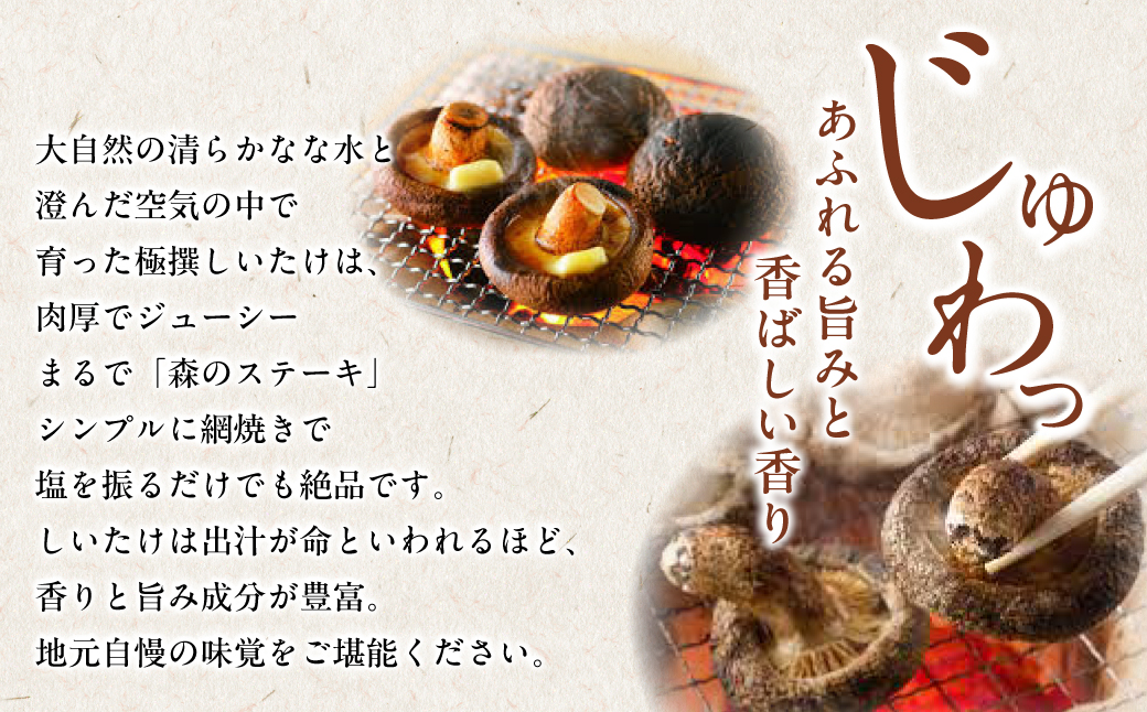 北海道の自然で育った 極撰 肉厚しいたけ 1kg HOKBA001