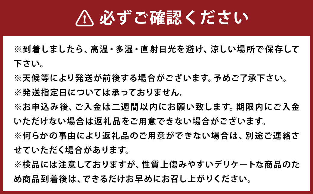 訳あり ご家庭用 長崎県時津町産 不知火 約5kg