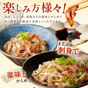 高鮮度・高品質!真アジたたき(500g×2p)( 海鮮 魚 鯵 冷凍 新鮮 おつまみ )【B4-120】