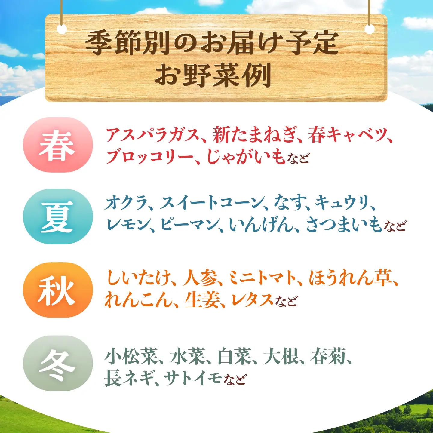 諫早のんのこ彩菜・詰め合わせ 10・12品目程度 / 季節 旬 野菜 やさい 春野菜 夏野菜 秋野菜 セット 詰め合わせ / 諫早市 / 肥前グローカル株式会社 [AHDI005]