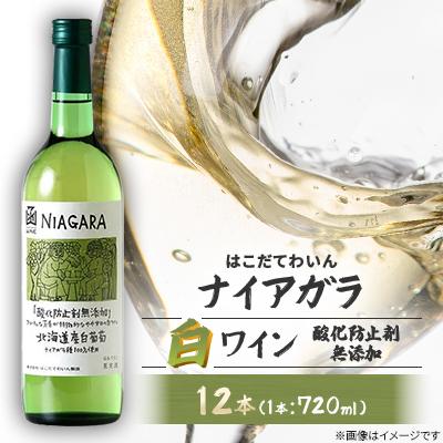 ふるさと納税 七飯町 酸化防止剤無添加　ナイアガラ　720ml　12本