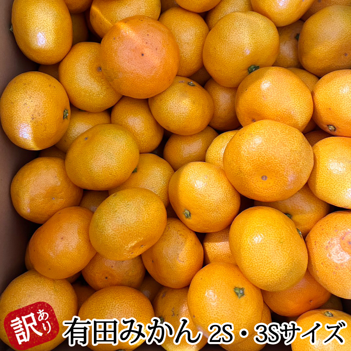 DZ6205_【2026年先行予約】家庭用 有田みかん 和歌山 小玉(2S,3Sサイズ混合) 約5kg