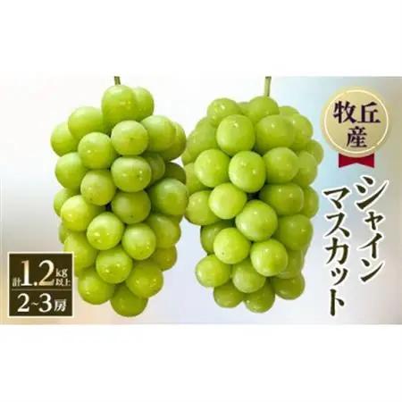 【2026年発送　先行受付】山梨直送!!シャインマスカット 2～3房(1.2kg以上)【配送不可地域：離島・沖縄県】【1695520】