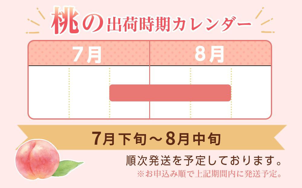 和歌山県産 川中島白桃 5～8玉入り 秀品 先行予約［2027年7月下旬以降発送］［MG7］