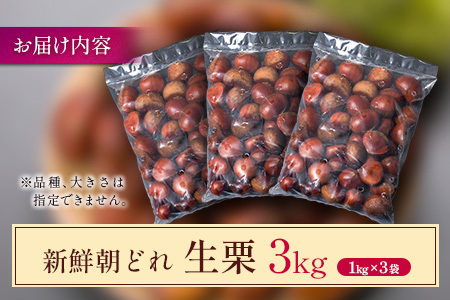 ＜期間限定＞国産 新鮮朝どれ（生栗）3kg お取り寄せ 産地直送 宝珠栗 数量限定 宮崎県新富町産【B670】