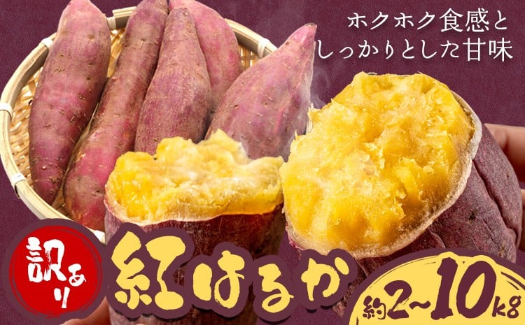 
                  【先行予約】訳あり さつまいも 紅はるか 選べる 約2kg 約5kg 約10kg 株式会社シグマサポート《2026年10月中旬-12月中旬頃出荷予定(土日祝除く)》送料無料 サツマイモ 三重県 東員町 お菓子 おやつ 紅はるか やきいも さつまいも 手軽
                