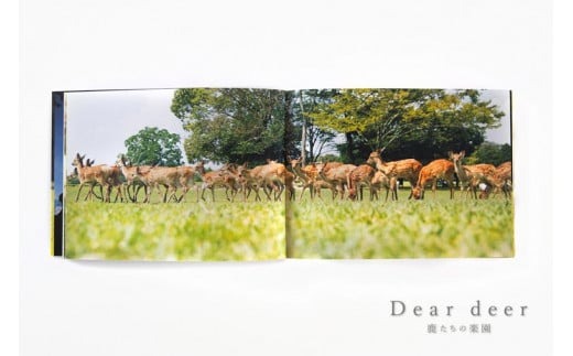 J-63　奈良の鹿 写真集「Dear deer 鹿たちの楽園」