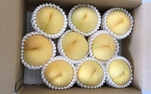 《2026年産先行受付》山形県産 黄桃 3kg ※品種玉数おまかせ  もも モモ 桃 デザート フルーツ 果物 くだもの 果実 食品 山形県 FSY-2520
