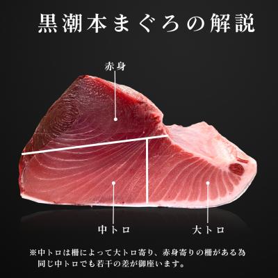 ふるさと納税 大月町 まぐろ マグロ 本鮪 黒潮本まぐろ 中トロ 赤身 定期便 3回 計300g × 3回 刺身 柵 冷凍 |  | 02