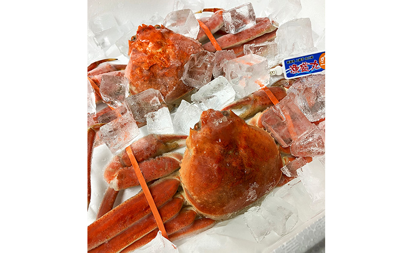 名立産　本ずわいがに姿　2尾　合計約1.0kg　新潟 上越 ズワ