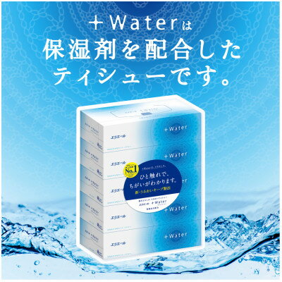 【ふるさと納税】エリエール+Waterティシュー180W5P【1681084】