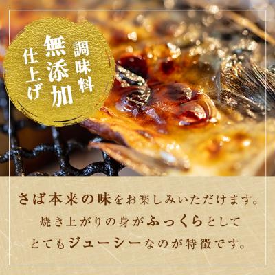 ふるさと納税 石巻市 < 訳あり > 無塩サバフィレ 1kg 無添加 魚 さばフィーレ 無塩 冷凍 不揃い 規格外 焼き魚 |  | 02