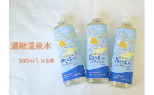 豊富温泉 濃縮温泉水 サロベツ大地恵泉 (500ml×6本)