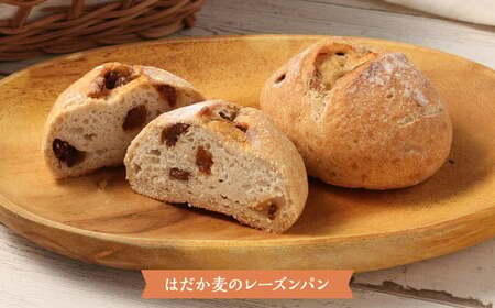 愛媛県 東温市産のはだか麦粉を使った グルテンを使用しない パンと焼菓子のセット 計8個 プレーン レーズン オレンジピール クリームチーズ ベーグル チョコチップ マフィン パン 焼菓子 菓子 スイ