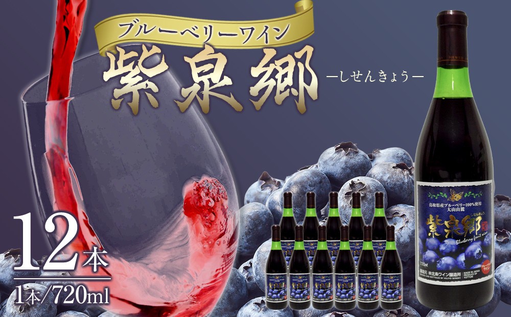 
            酒 ワイン ブルーベリーワイン 紫泉郷（しせんきょう） 12本 （ 720ml × 12 )
          