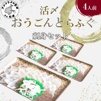 ふるさと納税 松浦市 活〆おうごんとらふぐ刺身4人前セット