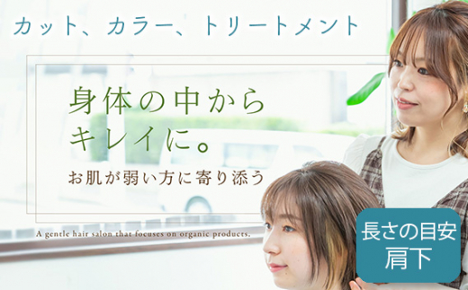 
No.289 （L）カット、カラー、トリートメント ／ 体験チケット サロン ロングヘア 愛知県
