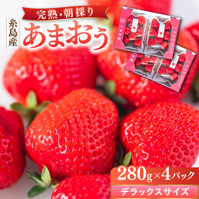 【ふるさと納税】【先行受付】＼農園直送！／糸島産 完熟あまおう 280g×4パック (デラックスサイズ) 糸島市 / 小河農園 【2026年1月下旬以降順次発送】 [AJN002] 23000円 2万3千円 いちご 苺 新着