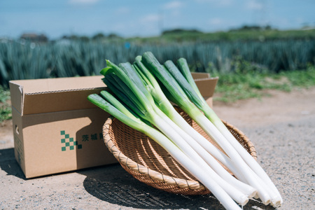 長ネギ 約5kg 約45本 スピード発送 農家直送