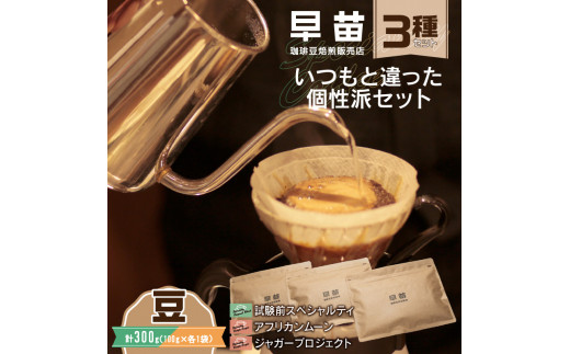 【早苗】焙煎珈琲豆（いつもと違った個性派セット　3種×各100g）豆 スペシャルティコーヒー 珈琲 セット 3種 詰め合わせ 個性派 ジッパー チャック付き 100g 豆 東京 新宿 0020-003-S05-1
