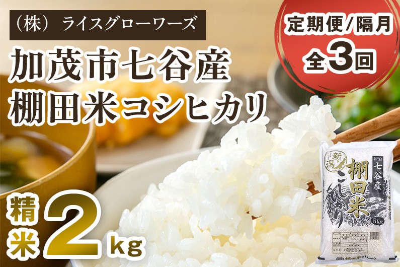 
                  【令和8年産新米先行予約】【定期便3回隔月お届け】新潟県加茂市 七谷産 棚田米コシヒカリ 精米2kg 《10月上旬～順次出荷》白米 （株）ライスグローワーズ
                