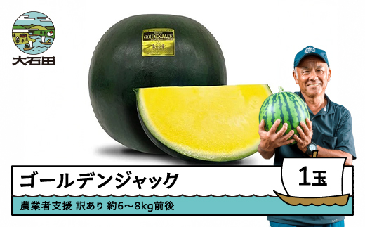 
                  すいか 大玉 ゴールデンジャック 訳あり 約6〜8kg×1玉 2026年産 令和8年産 7月下旬〜8月上旬に順次発送 山形県産 gt-suwgj
                