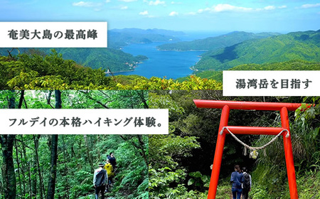 奄美最高峰「湯湾岳」ハイキング 体験 4名様 奄美大島 宇検村 鹿児島県 旅行 自然 冒険 完全プライベート