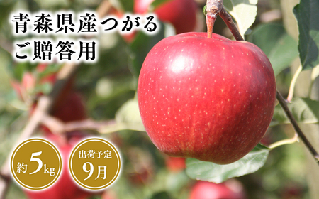 9月発送　贈答用つがる5ｋｇ　【そと川りんご園・9月・青森県産・平川市・りんご・つがる・5ｋｇ・贈答用】